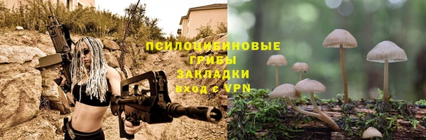 ешки Каменск-Шахтинский