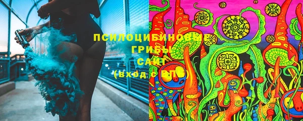 синтетический гашиш Каменка