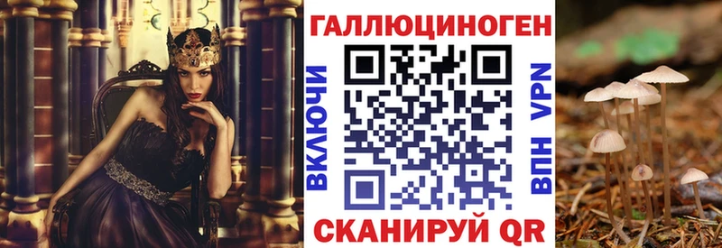 Купить где  Бронницы  Псилоцибиновые грибы MAGIC MUSHROOMS 